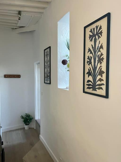 Appartement Renove De Caractere/ Parking Prive Saint-Rémy-de-Provence 外观 照片
